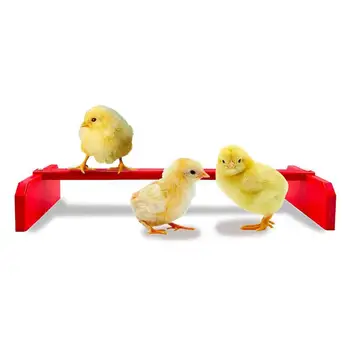 Простая в уходе Полезная игрушка-подставка для птенцов-попугаев, играющих на жердочке, Прочная жердочка для попугаев, устойчивая конструкция, принадлежности для фермы