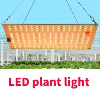 Светодиодная лампа для выращивания растений Quantum Board мощностью 50 Вт, освещение для выращивания растений на гидропонике в помещении, полный спектр оранжерейного цветочного освещения