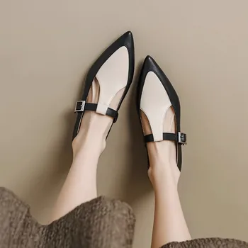 Весенне-осенние новые женские тонкие туфли в стиле ретро с заостренной плоской подошвой wl-x044