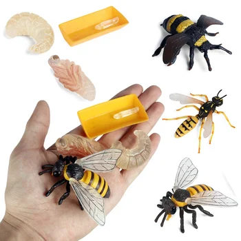 Креативное моделирование животного, Кузнечика, богомола, пчелы, модель цикла роста, фигурка, Познавательная развивающая игрушка для детей, подарок